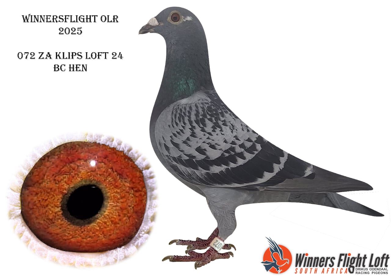 072 ZA KLIPSLOFT 24 BC HEN